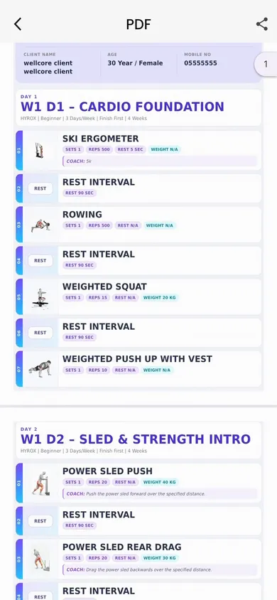 Workout Program